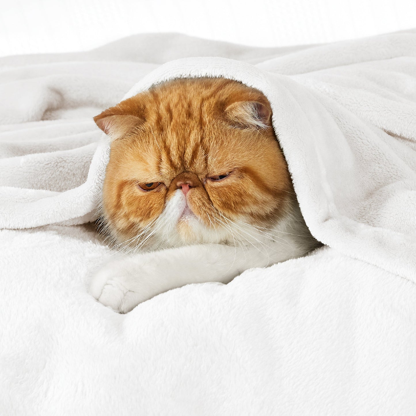 Plush Fleece Throw Blanket