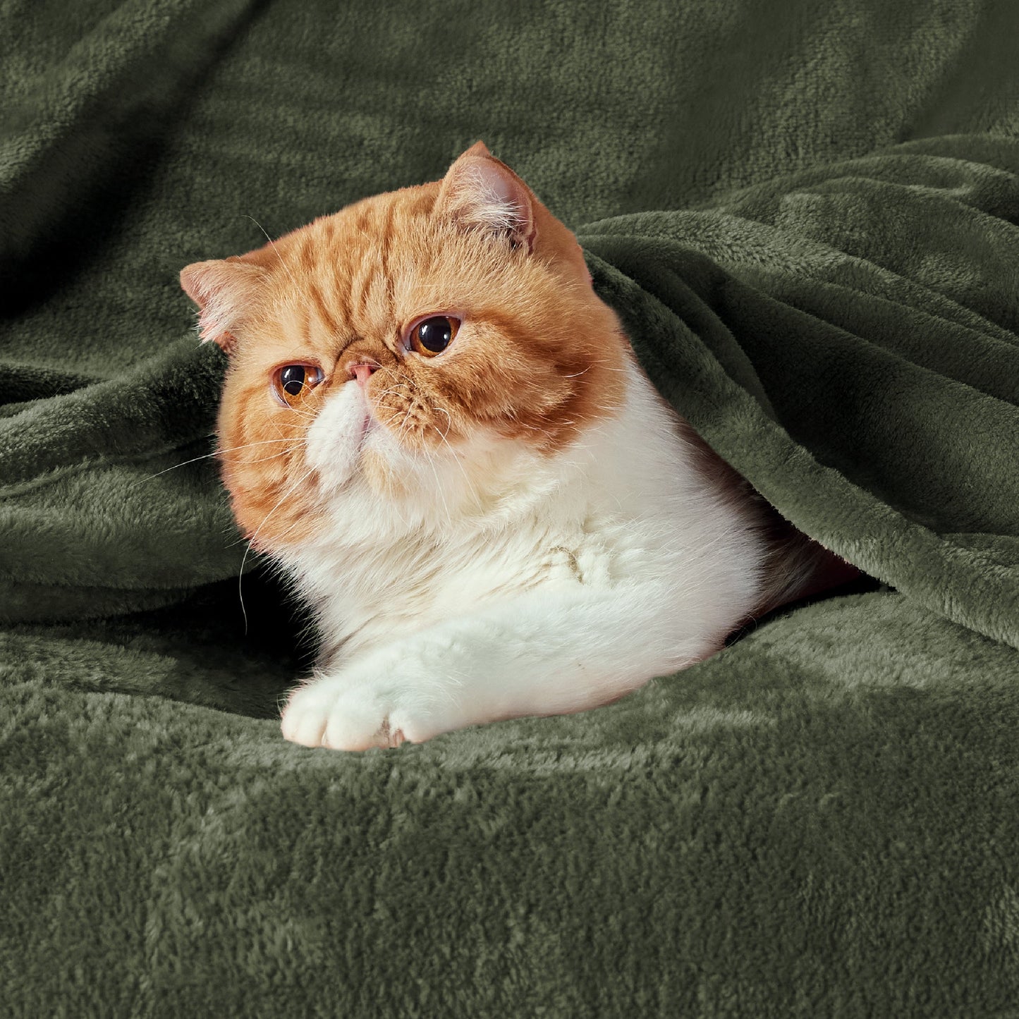 Plush Fleece Throw Blanket
