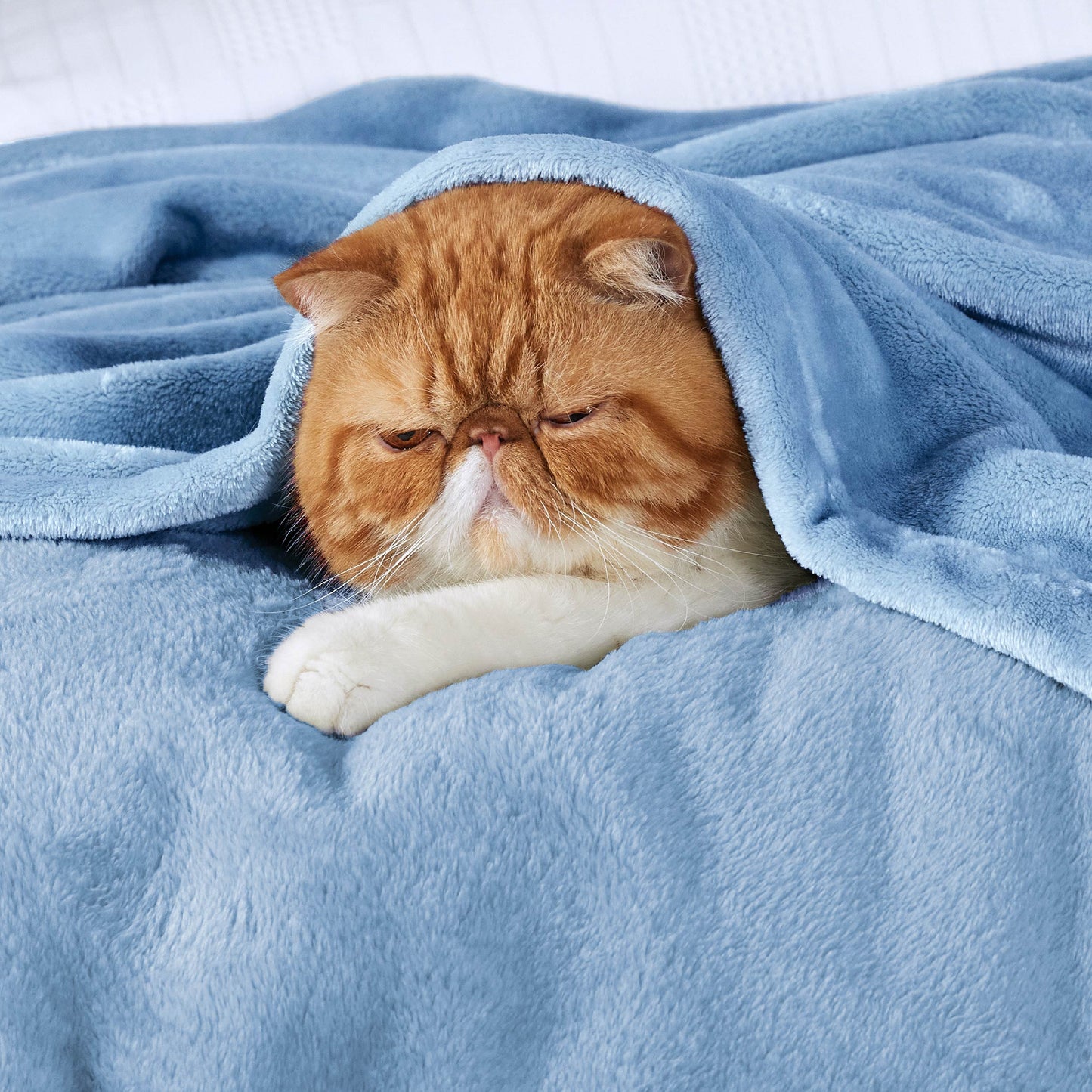 Plush Fleece Throw Blanket