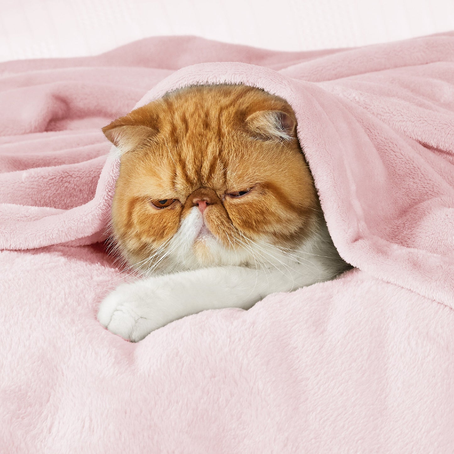 Plush Fleece Throw Blanket