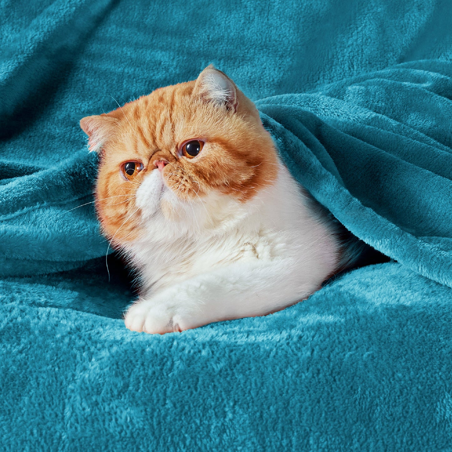 Plush Fleece Throw Blanket