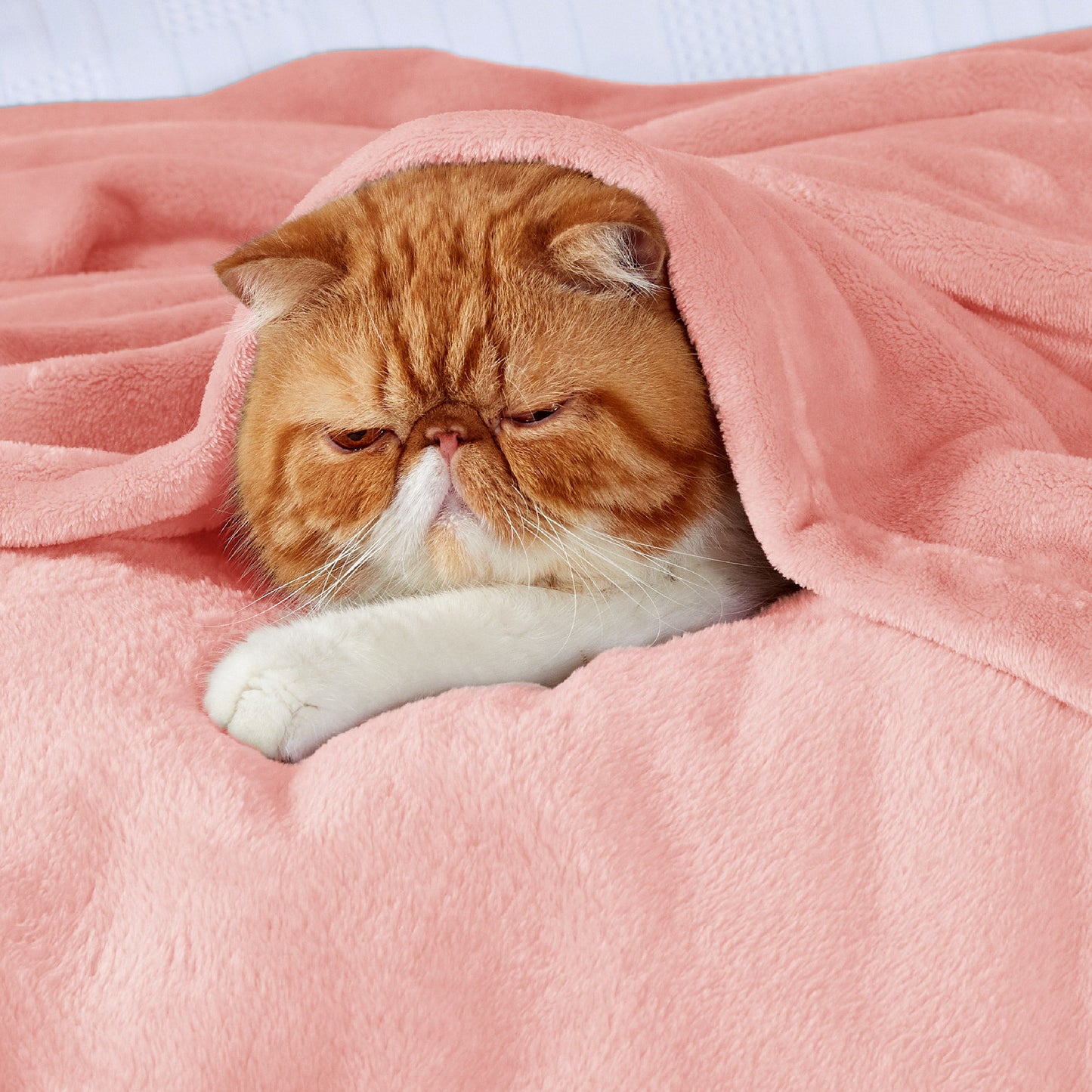 Plush Fleece Throw Blanket
