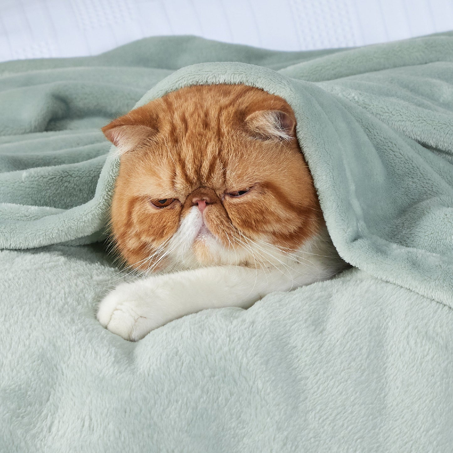 Plush Fleece Throw Blanket