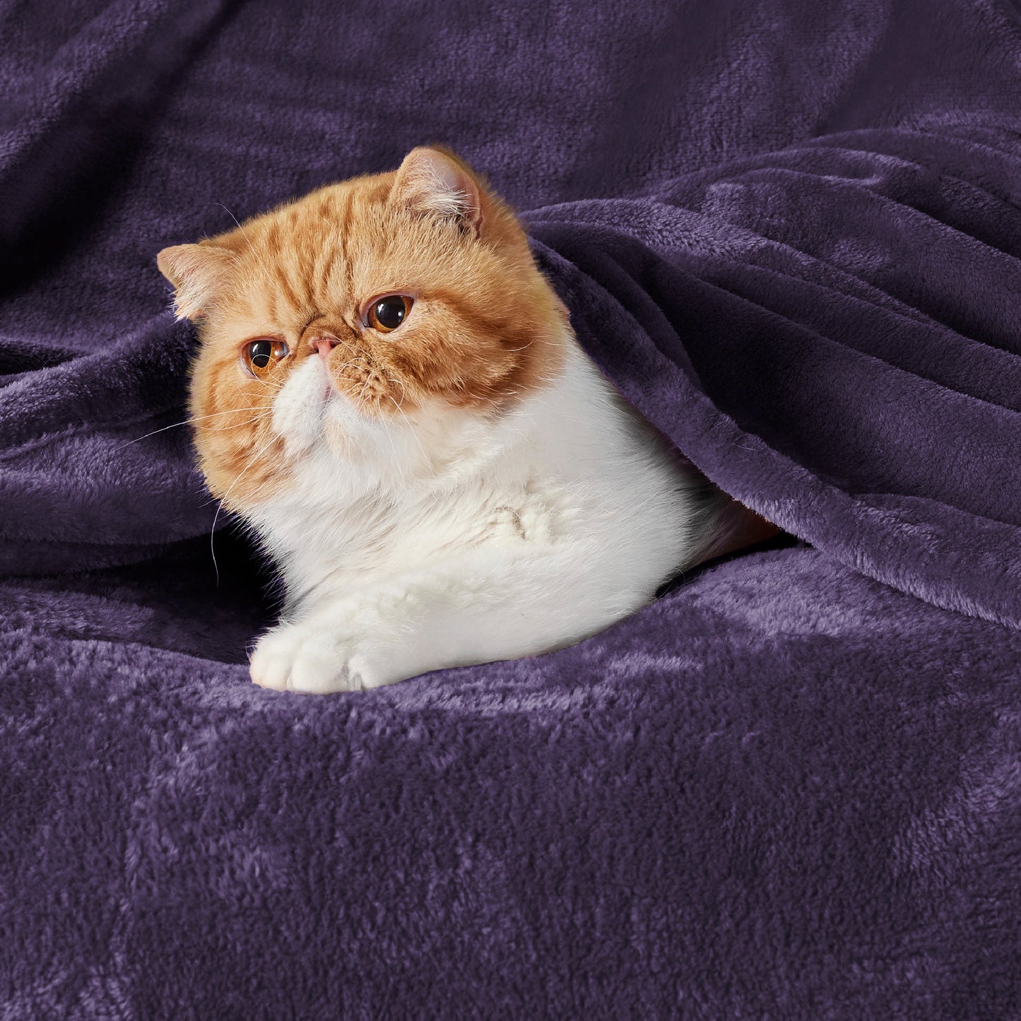 Plush Fleece Throw Blanket