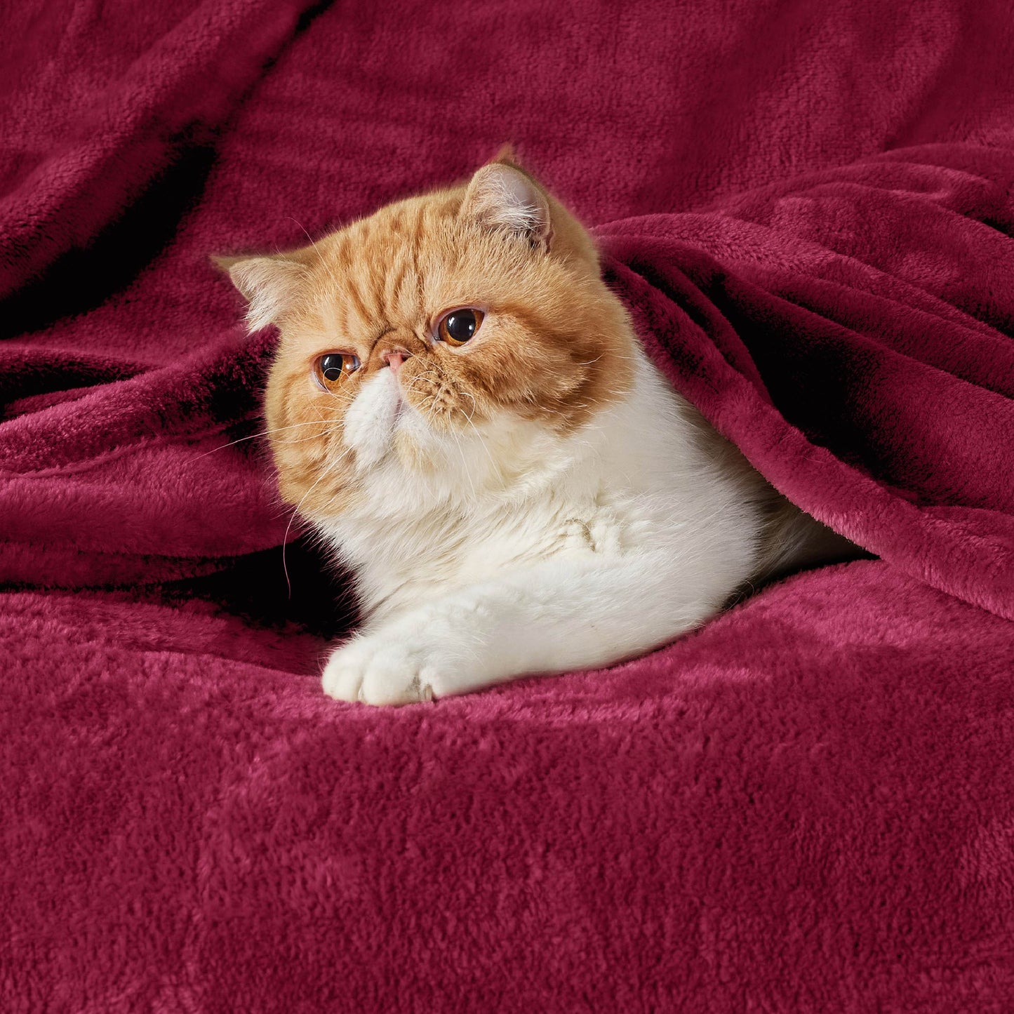 Plush Fleece Throw Blanket