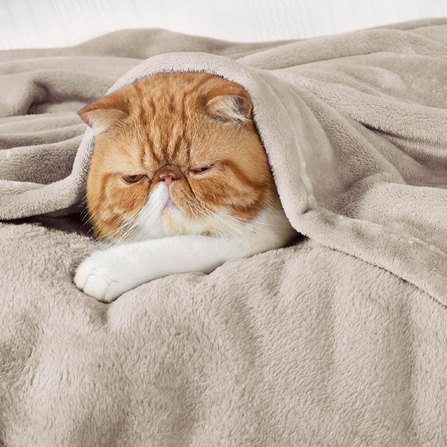 Plush Fleece Throw Blanket