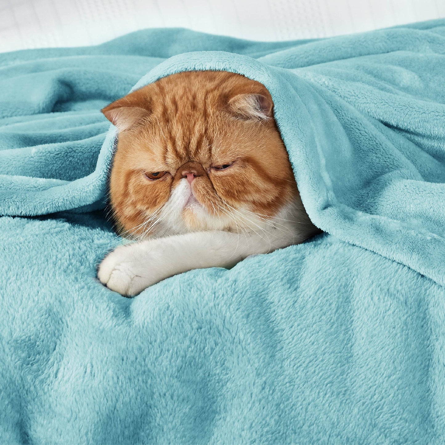 Plush Fleece Throw Blanket