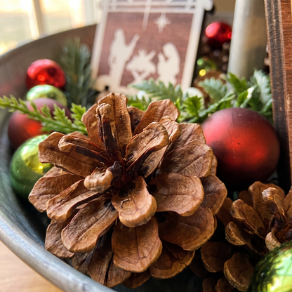 Natural Pine Cones For Crafts close up detail