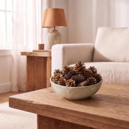 natural pine cones for crafts in the Hollow Pine house